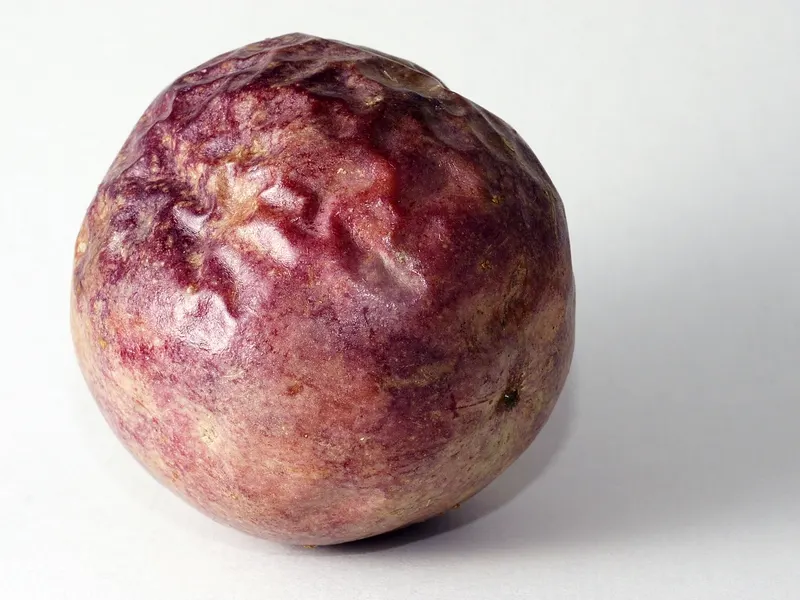 Gulupa, la fruta de cáscara morada emparentada con el maracuyá